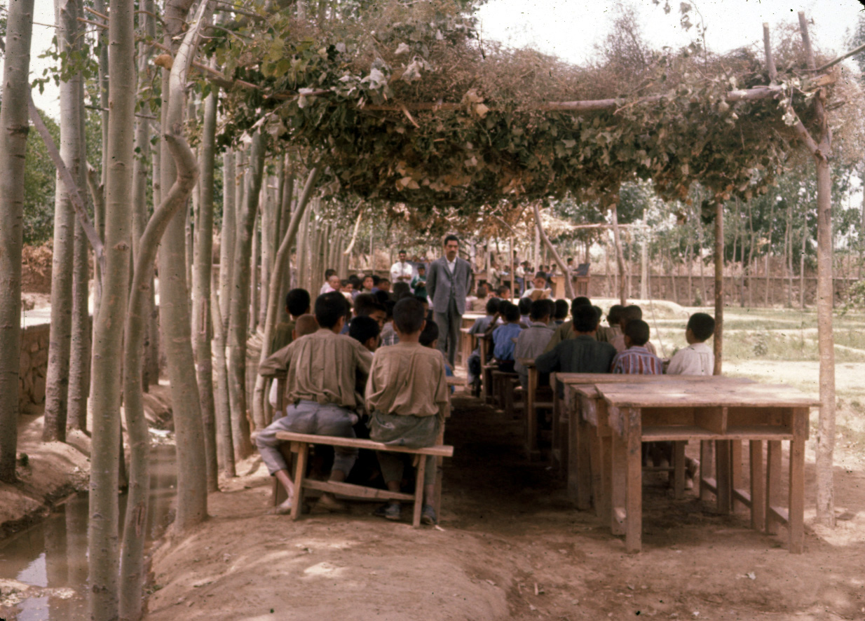 Grade School under the Trees