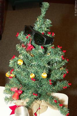 2004-12-16 Tree