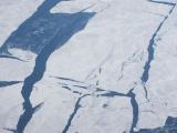 Ice Floes off Alaska