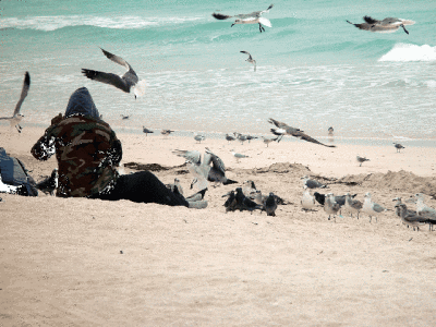 HOMELESS GUY ON BEACH WITH BIRDS
