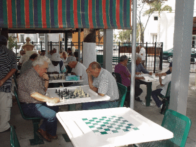 A LIVELY GAME OVER CUBAN COFFEE