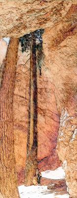 bryce canyon-Sketch.jpg