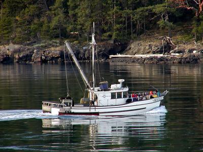 Fishing Vessel