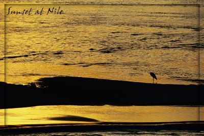 Sunset at Nile
