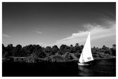 Felucca at River Nile