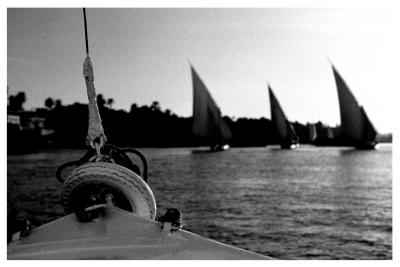 Felucca Ride