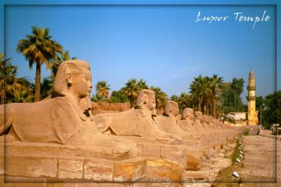 Luxor Temple 3.jpg