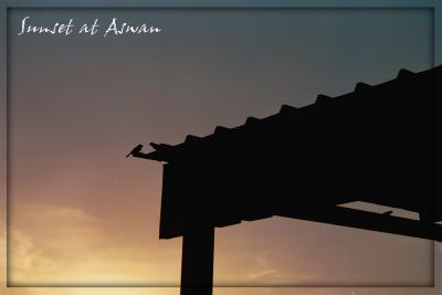 Sunset at Aswan.jpg