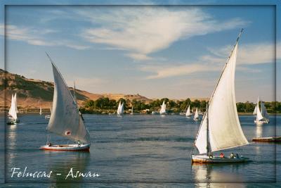 Feluccas at Aswan