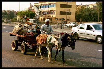 Donkey Cart