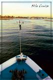 Nile Cruise