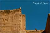 Temple of Horus 4.jpg