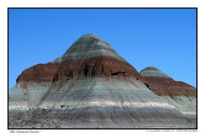 IMG_7652-01-cr1.jpg