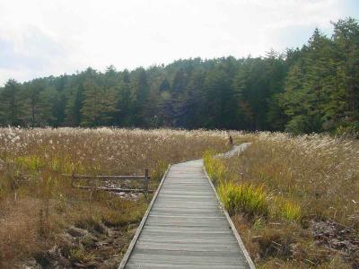 Karuza Marsh (or Kurosawa Marsh, not sure)