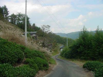 Village near Karuza Marsh