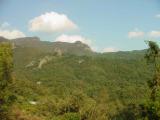 Bus tour of Shodoshima