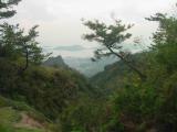 Bus tour of Shodoshima