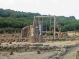 Choshikei-Osaruno-kuni-Monkey Park