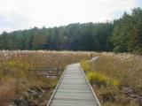 Karuza Marsh (or Kurosawa Marsh, not sure)