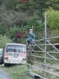 Nagoro on Road to Tsurugi-san, The Valley Of Dolls