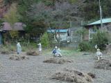 Nagoro on Road to Tsurugi-san, The Valley Of Dolls