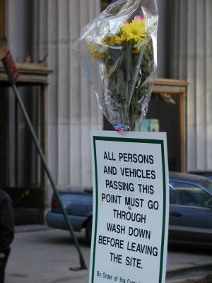 PC281603 sign and flowers