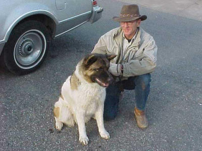 Joe Wilson, president of Mans Best Friend, rescued and then placed Zoe in a good home