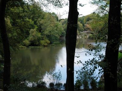 The Pond of Central Park