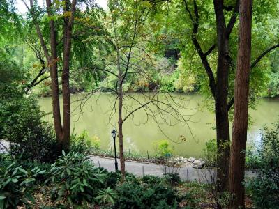The Pond of Central Park