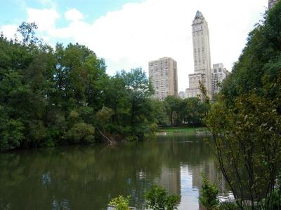 The Pond of Central Park