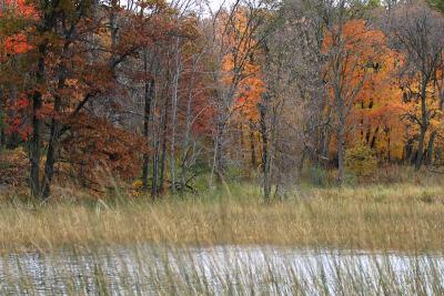 IMG_5380.jpg