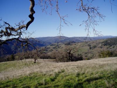 Awesome view