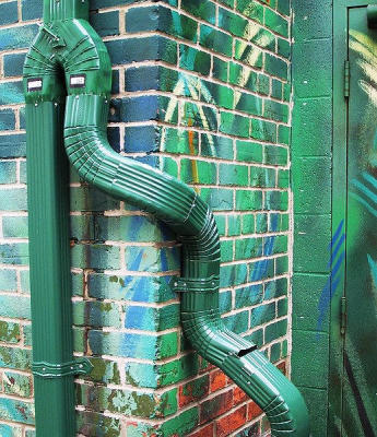 Urban jungle