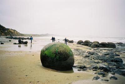 Moeraki Boulders