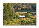<b>Meadow, Late Afternoon</b><br><font size=2>Stoddard, NH