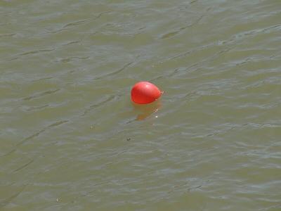 Water balloon retaliation.