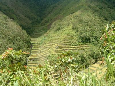 Valley of Eden