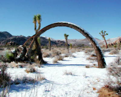 Arch.jpg