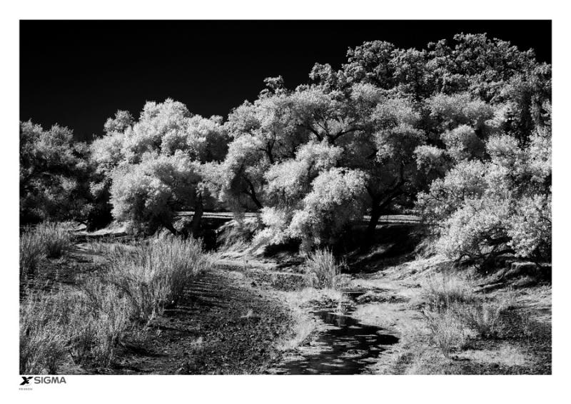 San Andreas Fault near Parkfield (infrared)