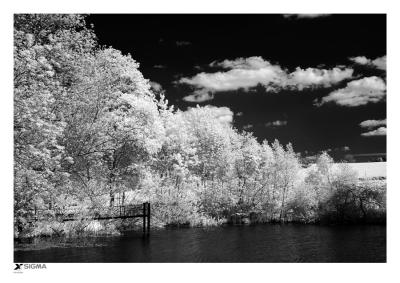 Frog Pond (infrared)