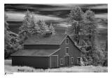 Red Barn with Deer Host (infrared)
