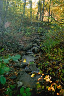 CRW_0096_RT16.jpg