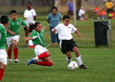 u6/smatthews62/medium/32695265.IMG_5643_Aryan.jpg