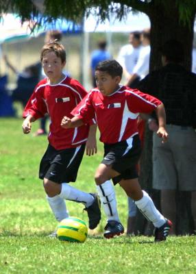 u6/smatthews62/medium/32695408.IMG_5764_Aryan.jpg