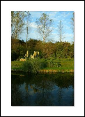 Canal Banks