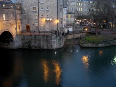 Swans on the river Avon, under the Pulteney Bridge.