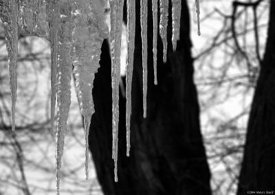 22nd entry Dec 23, 2004. Ice Sickles