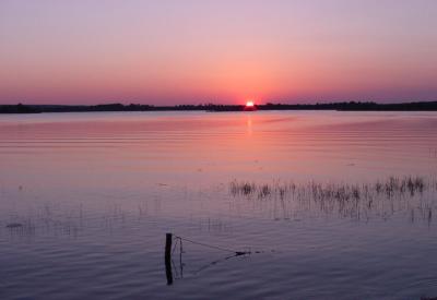 Salt Springs Sunset 2