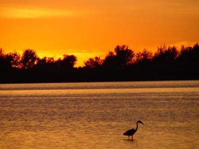  Fort DeSoto Park Sunset 2