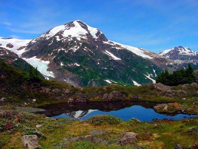 Alpine Pond